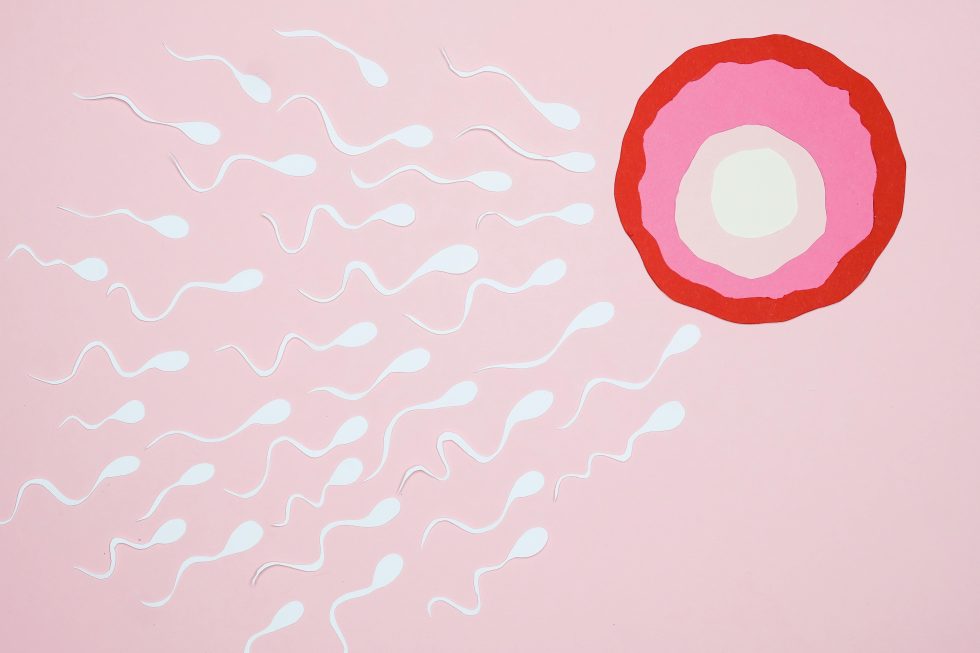 Sperm Count