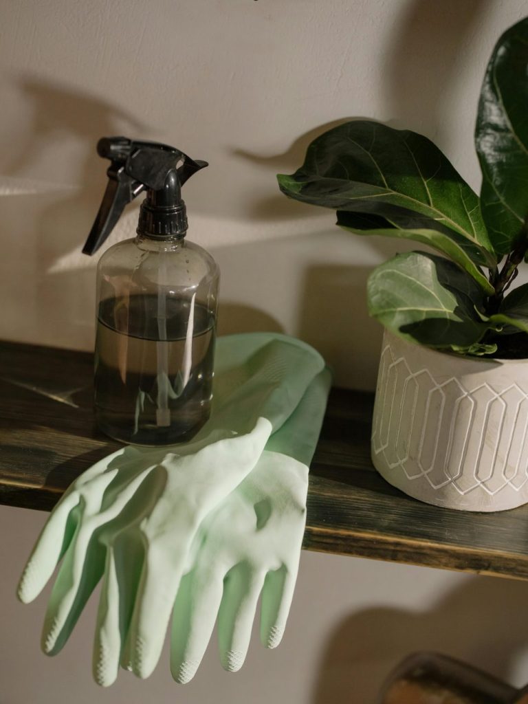 Cleaning gloves, spray