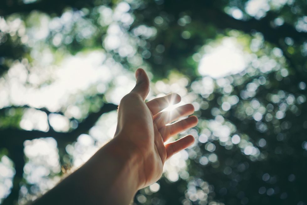 Vital Role of Vitamin D in Fertility